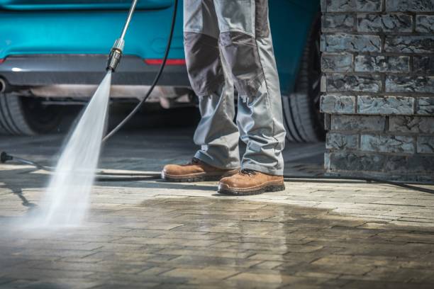 Best Roof Washing  in Danville, IN
