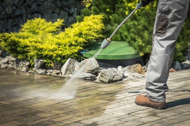 Best House Exterior Washing  in Danville, IN