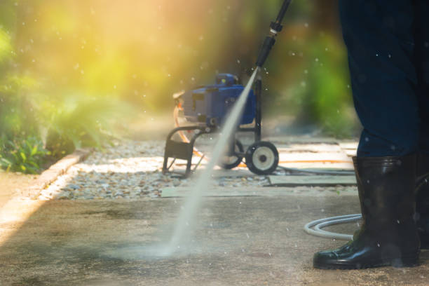 Best Fence Cleaning  in Danville, IN